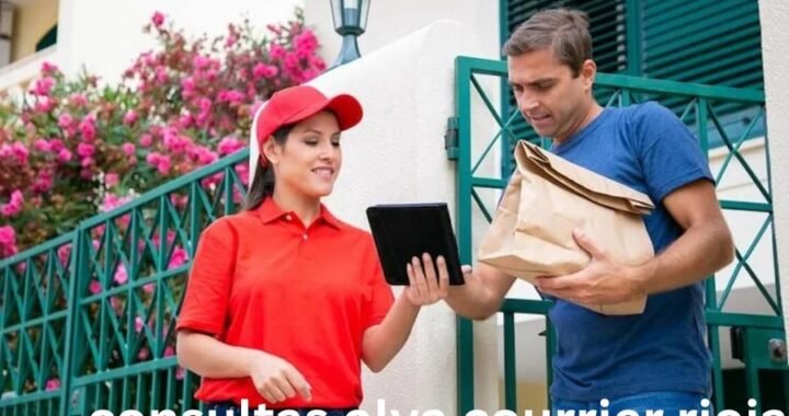 Consultas Olva Courrier Rioja: A Simple Guide to Track Your Packages Easily