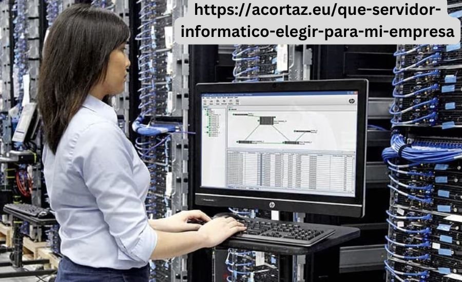 https://acortaz.eu/que-servidor-informatico-elegir-para-mi-empresa