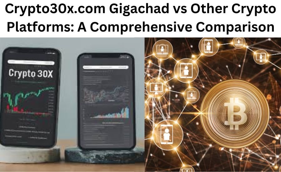 crypto30x.com gigachad