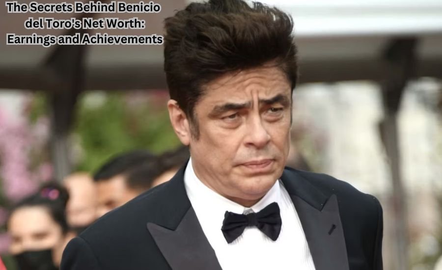 benicio del toro net worth