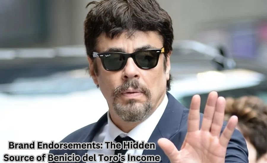 benicio del toro net worth