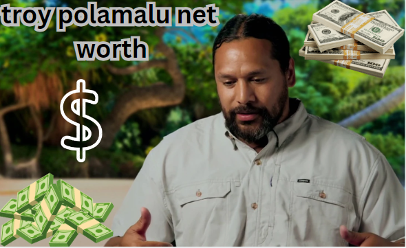 troy polamalu net worth