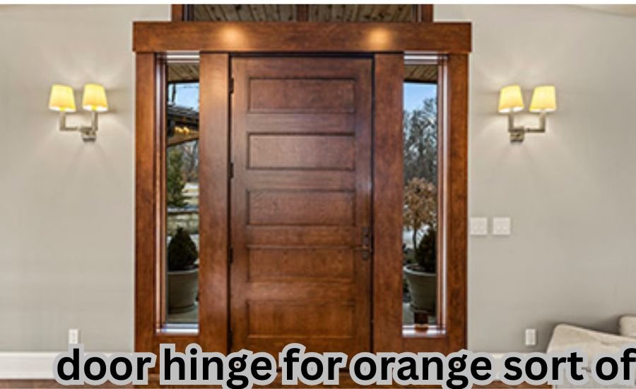 door hinge for orange sort of